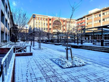 Snowy Ritsumeikan